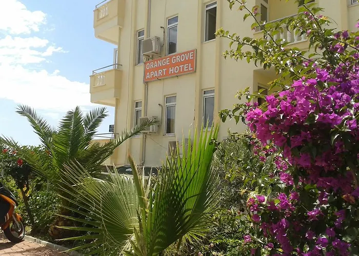 Hotel apartamentowy Orange Grove Apart